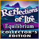Download Reflections of Life: Equilibrium Collector's Edition game