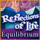 Download Reflections of Life: Equilibrium game