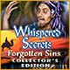 Download Whispered Secrets: Forgotten Sins Collector's Edition game