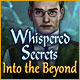 Download Whispered Secrets: Into the Beyond game