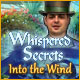 Download Whispered Secrets: Into the Wind game