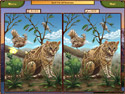 World Riddles: Animals screenshot