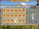 World Riddles: Animals screenshot