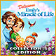 Download Delicious: Emily's Miracle of Life Collector's Edition game
