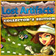 Download Lost Artifacts Collector's Edition game